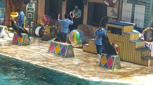 My faviroute buddies